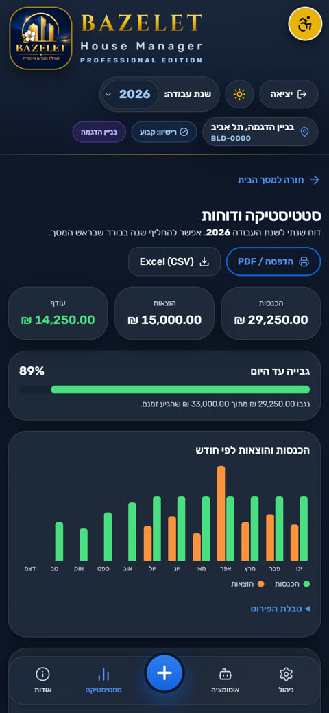 דוח שנתי של הכנסות והוצאות עם גרף חודשי